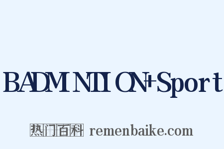 BADMINTION Sport是什么意思的图片